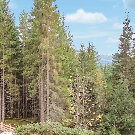 Erholsames Pillberg Дом отдыха *