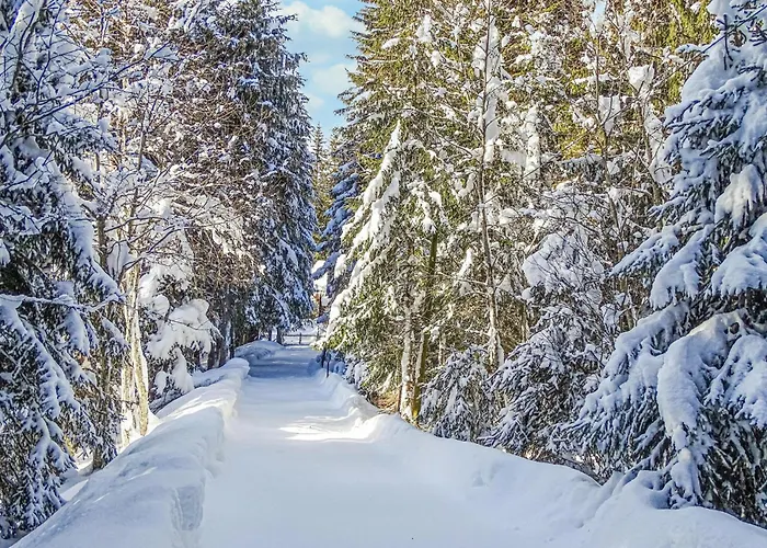 Erholsames Pillberg * Zellberg